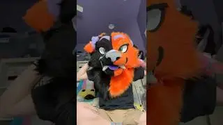 BIG AHH EARS #furry #fursuit #therian #antizoo #fyp #trend