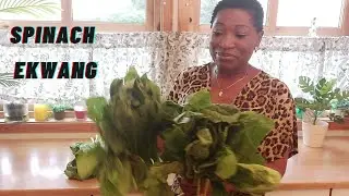 SPINACH AND COCOYAM   COOKING CAMEROONIAN EKWANG