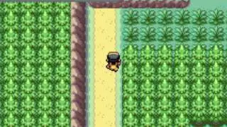 Pokemon Golden Sun Music - Route 30