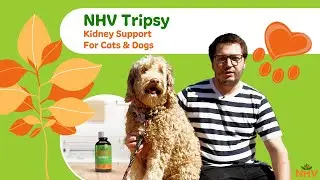 NHV Tripsy: Kidney & Bladder Support For Cats & Dogs