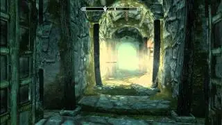 What Cicero Does When He's Alone: Skyrim