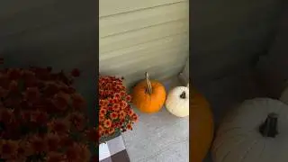 FALL PORCH MAKEOVER #fall #falldecor #fallporch #autumn