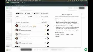 Setting style for Enbee V1