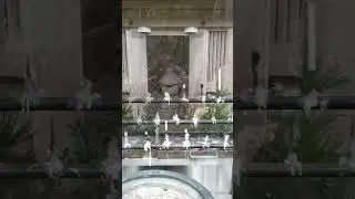 浄土真宗 親鸞聖人の五輪塔(高野山奥之院)  国産墓石  大阪市