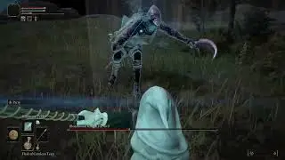 Elden Ring - How to Kill Bloodhound Knight Darriwil the easy way