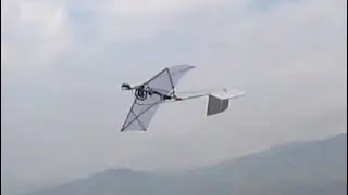 OR-2A | 1 | Gearbox driven ornithopter