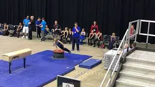 Boys Gymnastics Pommel Horse (mushroom) Level 4 Region 8 Championship 2017 Eric 7 years old