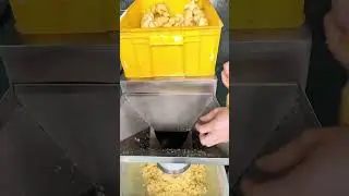 Industrial Ginger Crushing Machine | High Efficiency Food Processing