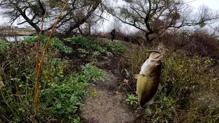 Catching BASS during late WINTER/early SPRING(Riverbottom park) Fresno