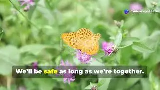 Rosie and Benny: A Magical Butterfly Love Story