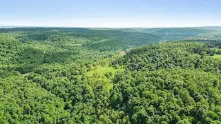 Land for Sale! Route 259, Homer City, PA 15748 90 +/- Acres!