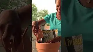 Graduation Gift Basket for the 