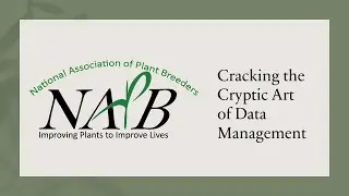 Cracking the Cryptic Art of Data Management, an NAPB Webinar