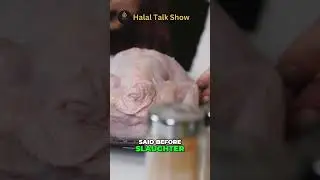 What is CHICKEN HALAL? #chicken #halal #meat
