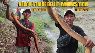 MANCING BELUT MONSTER LORD KARTOLO