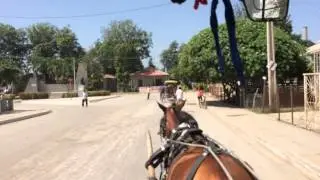 En Carruaje por Amancio, Cuba