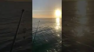 Sea Eagle Stealth Stalker 10 SF Bay Area Fishing