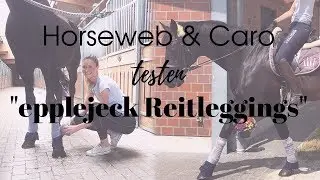 🐴Reitleggings von Epplejeck im Test | Horseweb & Caro 🐴