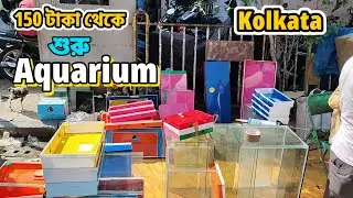 150টাকা থেকে শুরু | Aquarium Price New Update | Gallif Street Fish Market Kolkata | 9/11/2025