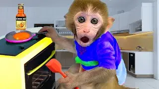 Monkey Baby Tun Tun eats fried eggs and plays with dog on the farm