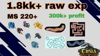 Hunt MS Solo 220+ 1.8kk exp raw Inquisition Quest