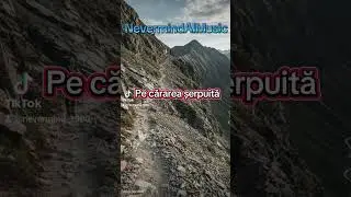 Pe cărarea șerpuită -#romania #populara #muzicaai #aimuzica #muzicanoua #top