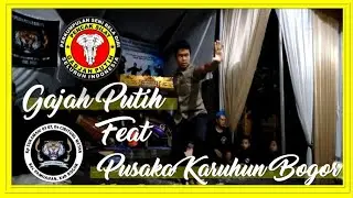 Kaul Ngibing Tepak 2 || Pendekar Dari Padepokan Gajah Putih Ft. P.S Pusaka Karuhun Bogor