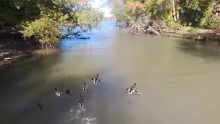 Drone Flying Adventure: The Forty Mile Creek