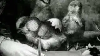 Tevo Howard - Spend Some Time [Underground Mix] Rush Hour