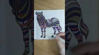 ASMR Coloring Zebra