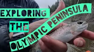 Exploring the Olympic Peninsula 