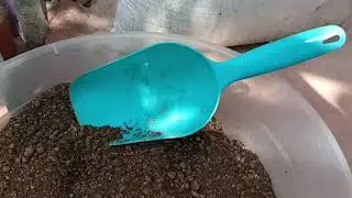 Sukulentler İçin Hangi Marka Toprak Kullanıyorum? İki Marka Toprağı Karşılaştırdım