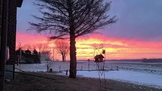 from my magic window. Lamberton Minnesota. 1/4/2022