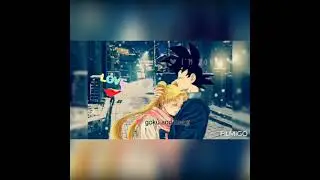 goku and usagi