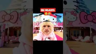 #kiboasmr #hellokitty #mono #asmr #babymonkey #capuchina