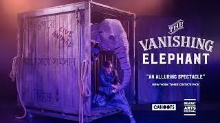 THE VANISHING ELEPHANT | Cahoots