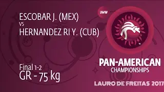 GOLD GR - 75 kg: Y. HERNANDEZ RI (CUB) df. J. ESCOBAR (MEX), 8-3