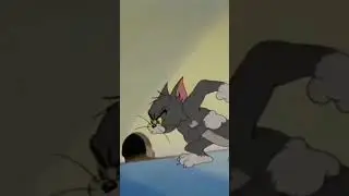 #cartoonstyle #tomjerrybobby #tomjerrycookie