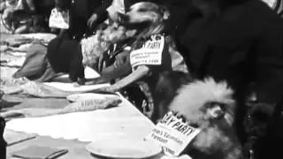 Sid Grauman & His Canine Friends (1925)