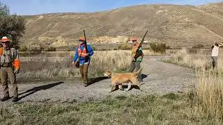Grant Amaral Invitational Pheasant Hunt 2025