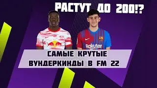 Самые крутые вундеркинды в FM 22