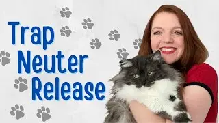 TNR 101 - Saving Feral Community Cats Through Trap-Neuter-Release