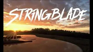Stringblade plays 