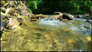 Gentle Stream Sounds | Relaxation | Insomnia | Water | River Sound | Sleep | Study | Forest | Focus