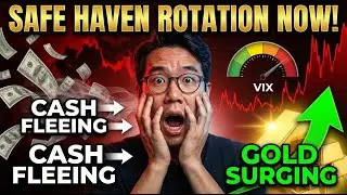 Safe-Haven Rotation: Cash to Gold as Volatility Creeps Back