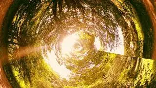 Oily Beatz - Dorsamot feat. Dank Hops (Original Audio)