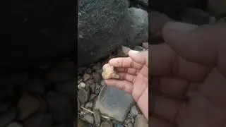 Rockhounding - Finding nature agate, rock collecting