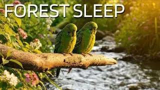 Healing Flute Music & Gentle River Sounds  Deep Forest Ambience for Calm