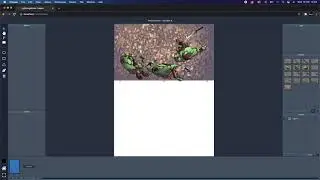 LightningWorks NFT Comics Building App - Early Demo