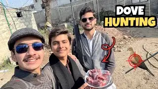 Deadly Accurate Shots 😱 Boom 💥 Perfect Shot! | Pakistani Dove Hunting | Daily Vlog 🔥
